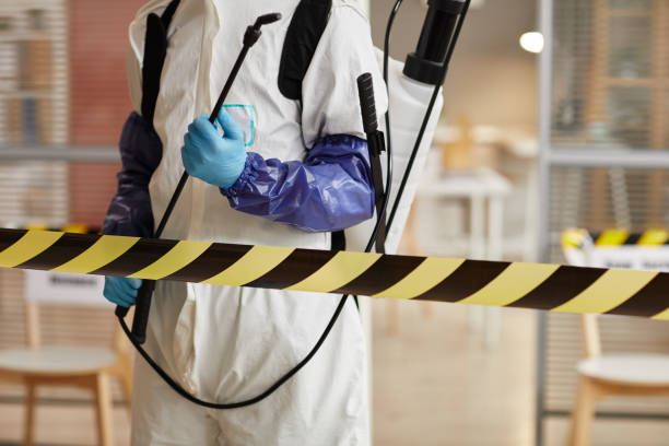 Professional Biohazard Cleanup technician working in Nursery, TX